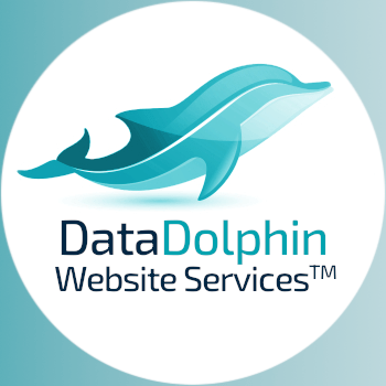 DataDolphin Logo Image